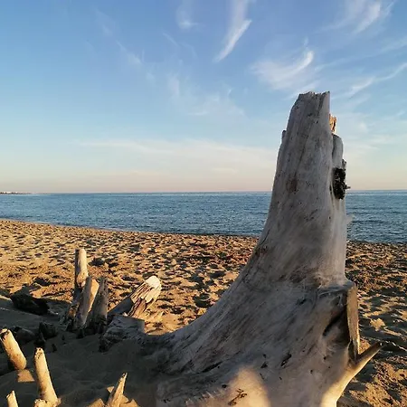 Adriana, Salento Autentico