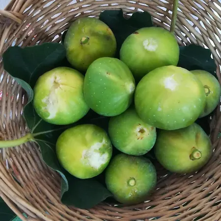 Adriana, Salento Autentico 4*