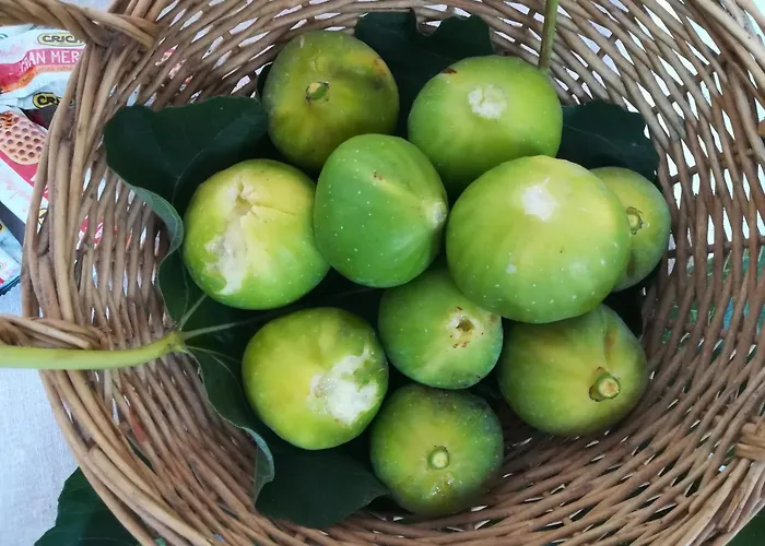 Adriana, Salento Autentico 4*